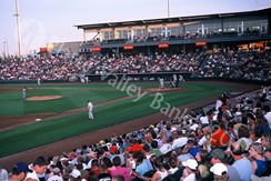 Photo named 2015t-bones4.jpg