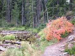 Photo named 2013-09-23-09-01-00.jpg