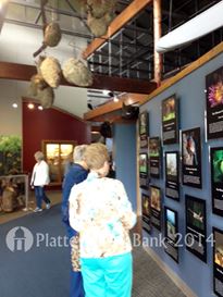 Photo named prog_lunch_p505a.jpg