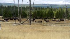 Photo named dscn0136.jpg