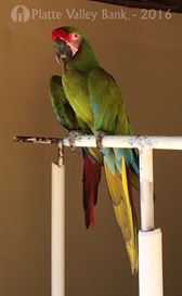 Photo named fullsizerender1.jpg