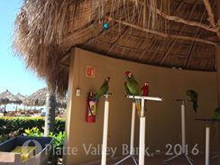 Photo named img_3484.jpg