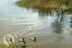 Photo named 2prime-50-club-78.jpg