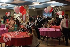 Photo named 2015-princess-ball_06.jpg