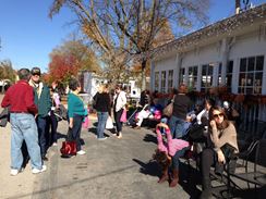 Photo named 2013-11-09-12-31-12.jpg